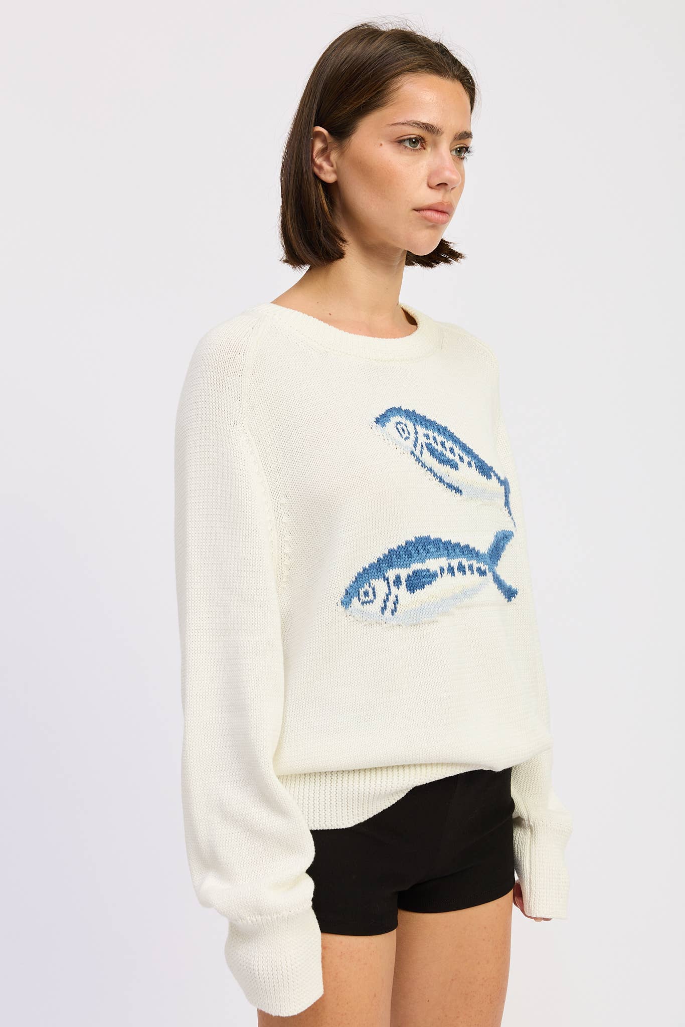 LONG SLEEVE KNITTED GRAPIC SARDINE  SWEATER