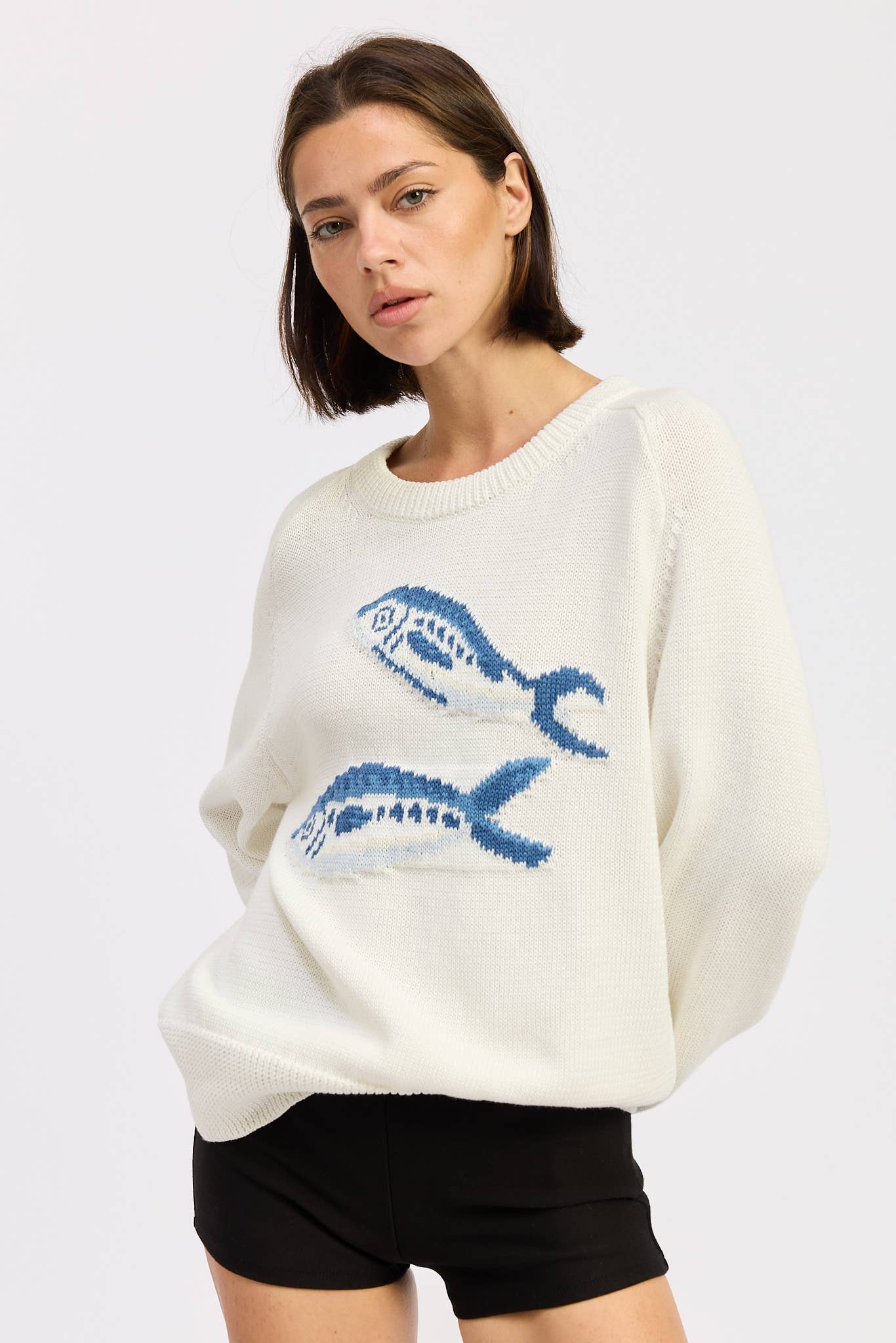 LONG SLEEVE KNITTED GRAPIC SARDINE  SWEATER